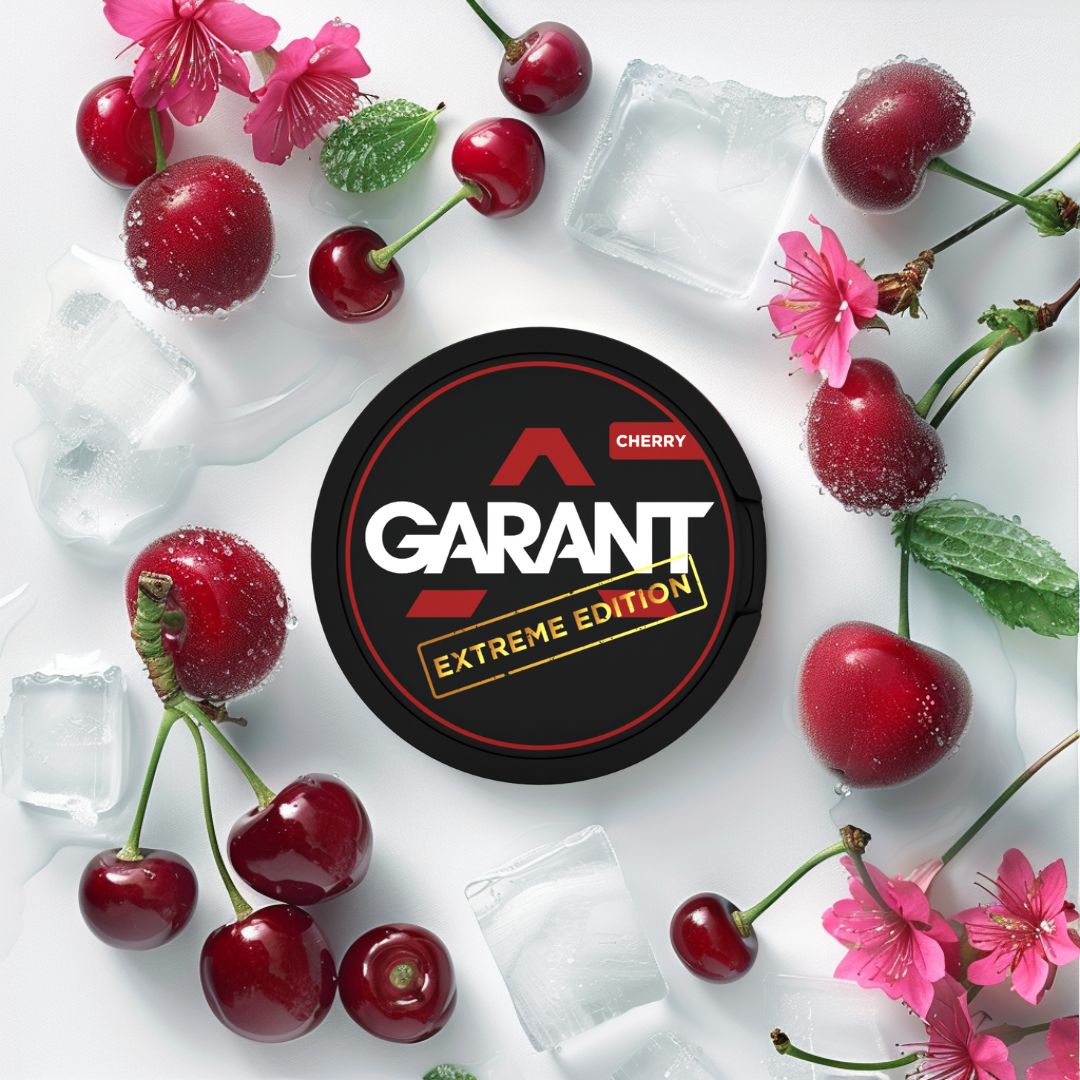 Garant Nicotine Pouches - Pack of 10 - Vape Wholesale Mcr